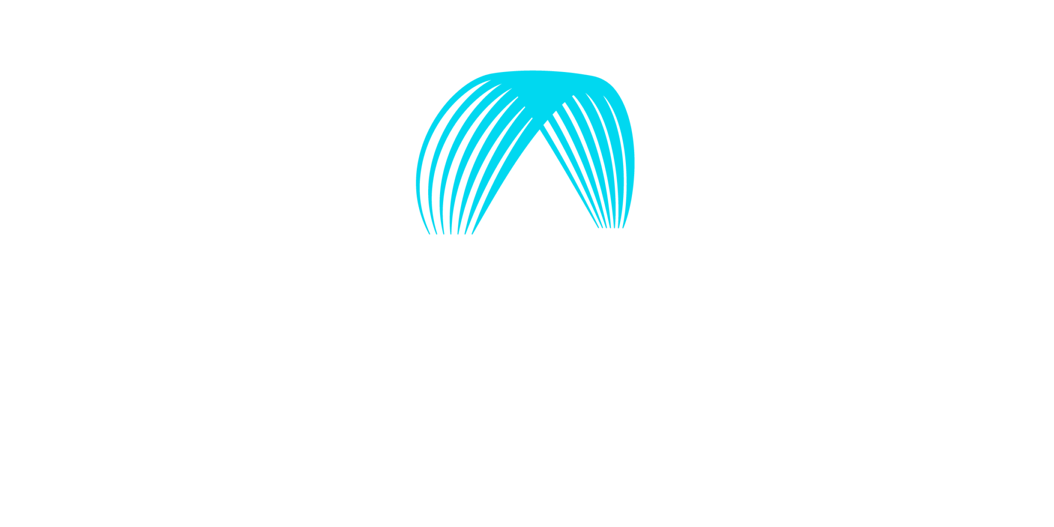 KiteBanners